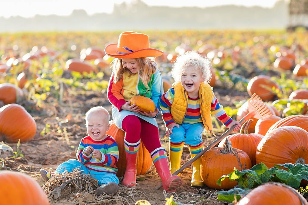 Take Your Little Ones to Pumpkin Patch